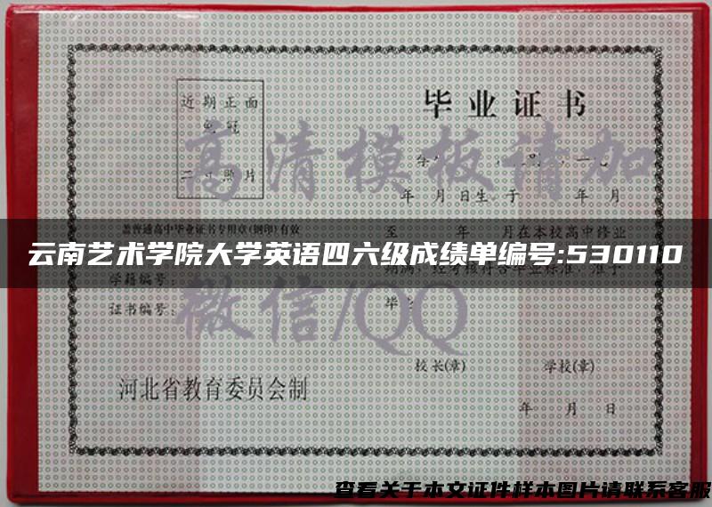 云南艺术学院大学英语四六级成绩单编号:530110