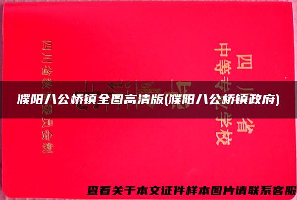 濮阳八公桥镇全图高清版(濮阳八公桥镇政府)