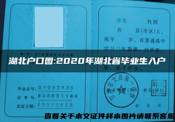 湖北户口图:2020年湖北省毕业生入户