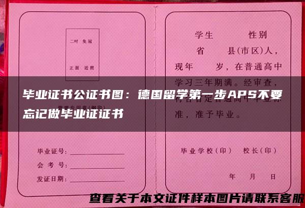 毕业证书公证书图：德国留学第一步APS不要忘记做毕业证证书