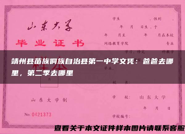 靖州县苗族侗族自治县第一中学文凭：爸爸去哪里，第二季去哪里