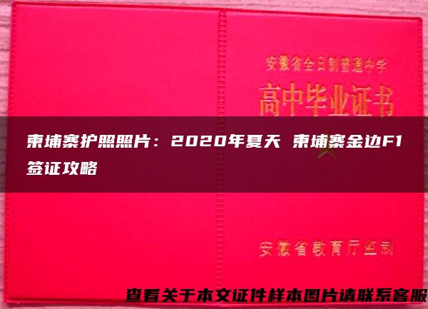 柬埔寨护照照片：2020年夏天 柬埔寨金边F1签证攻略