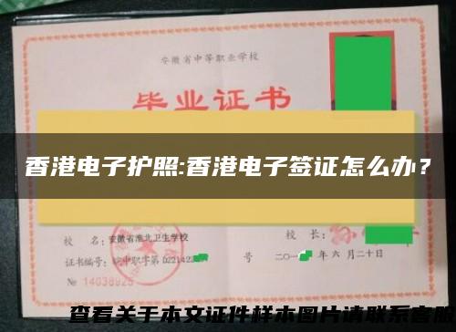 香港电子护照:香港电子签证怎么办？