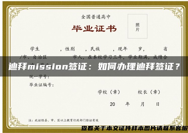 迪拜mission签证：如何办理迪拜签证？