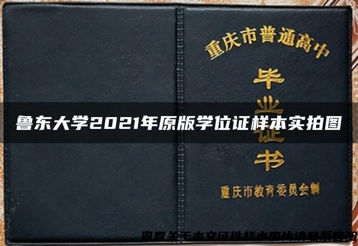 鲁东大学2021年原版学位证样本实拍图