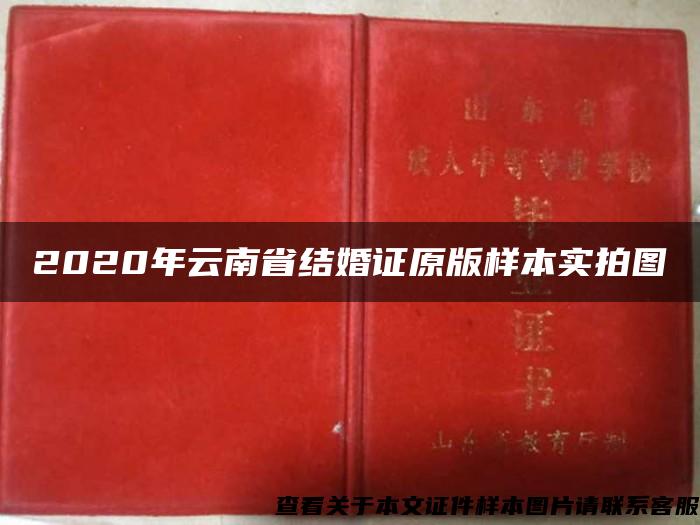 2020年云南省结婚证原版样本实拍图