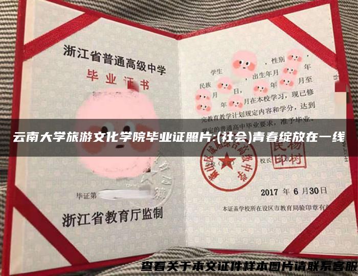 云南大学旅游文化学院毕业证照片:(社会)青春绽放在一线