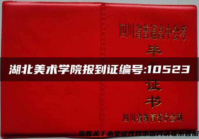 湖北美术学院报到证编号:10523