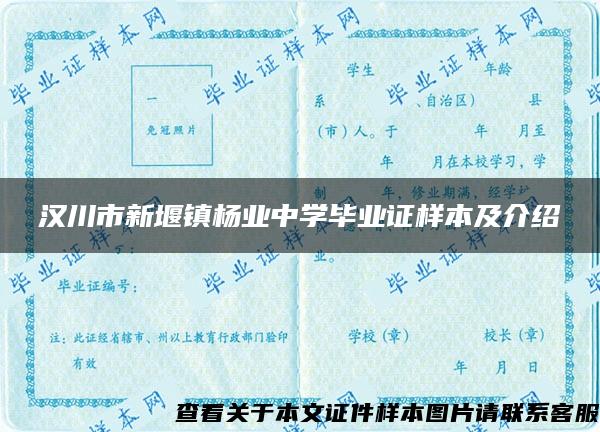 汉川市新堰镇杨业中学毕业证样本及介绍