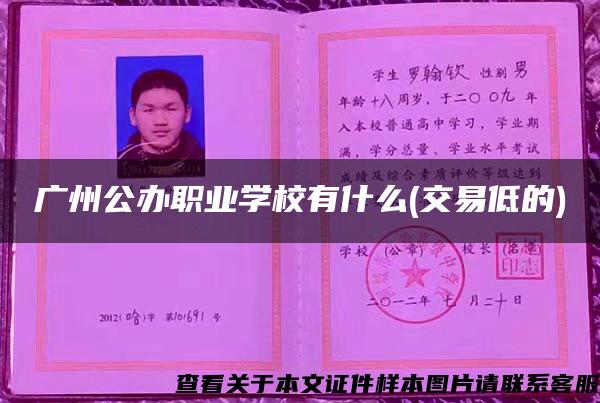 广州公办职业学校有什么(交易低的)