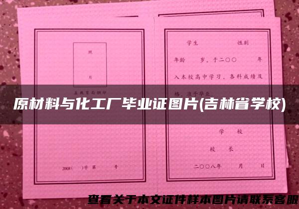 原材料与化工厂毕业证图片(吉林省学校)