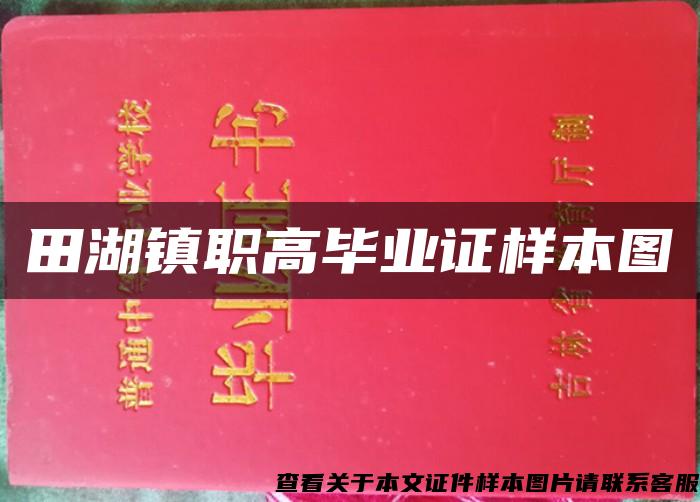 田湖镇职高毕业证样本图