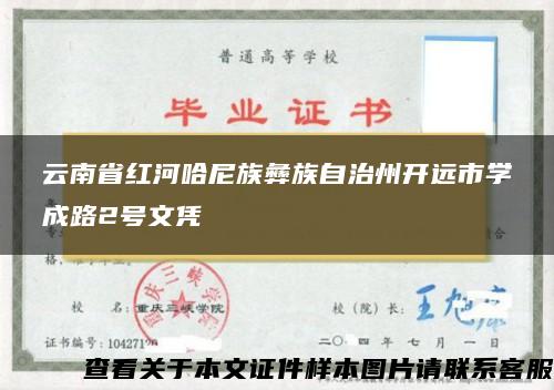 云南省红河哈尼族彝族自治州开远市学成路2号文凭