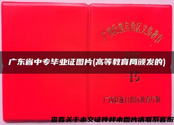 广东省中专毕业证图片(高等教育局颁发的)