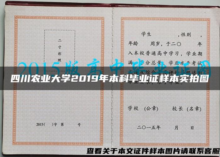 四川农业大学2019年本科毕业证样本实拍图