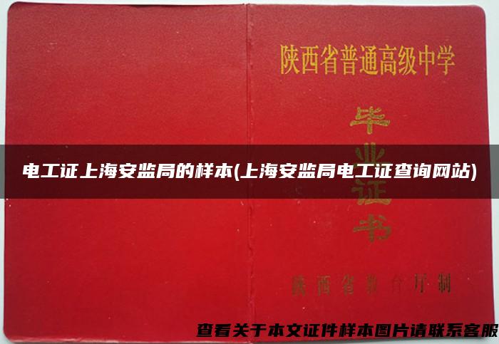 电工证上海安监局的样本(上海安监局电工证查询网站)