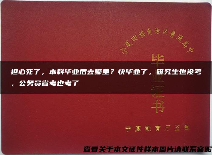 担心死了，本科毕业后去哪里？快毕业了，研究生也没考，公务员省考也考了