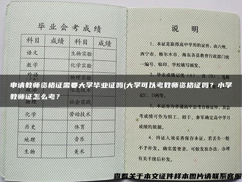 申请教师资格证需要大学毕业证吗(大学可以考教师资格证吗？小学教师证怎么考？