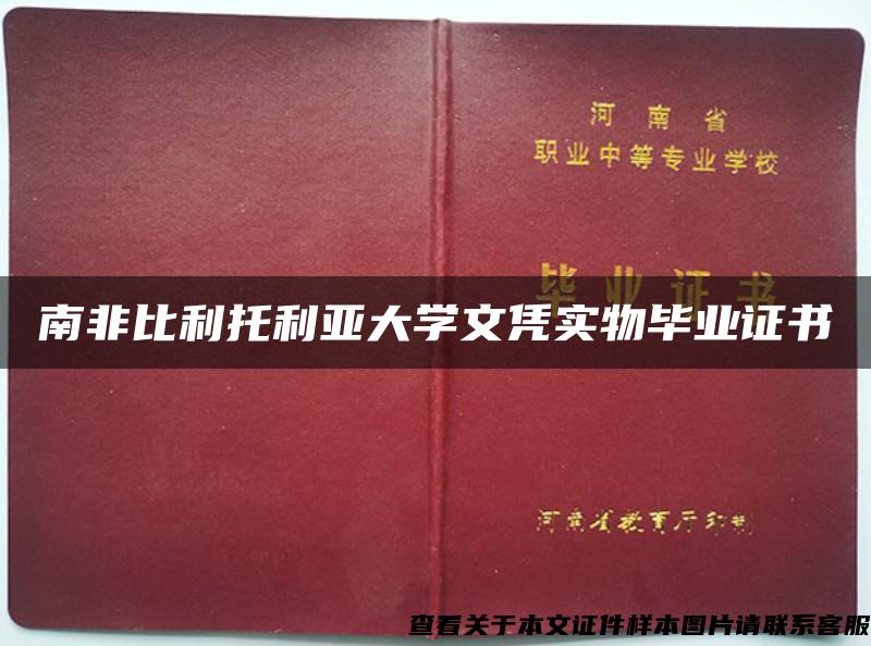 南非比利托利亚大学文凭实物毕业证书