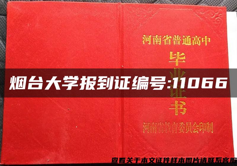 烟台大学报到证编号:11066