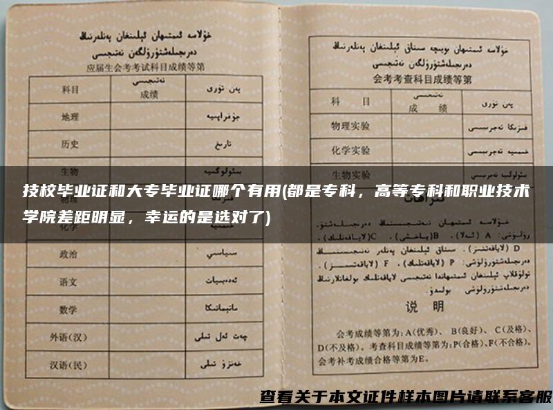 技校毕业证和大专毕业证哪个有用(都是专科，高等专科和职业技术学院差距明显，幸运的是选对了)