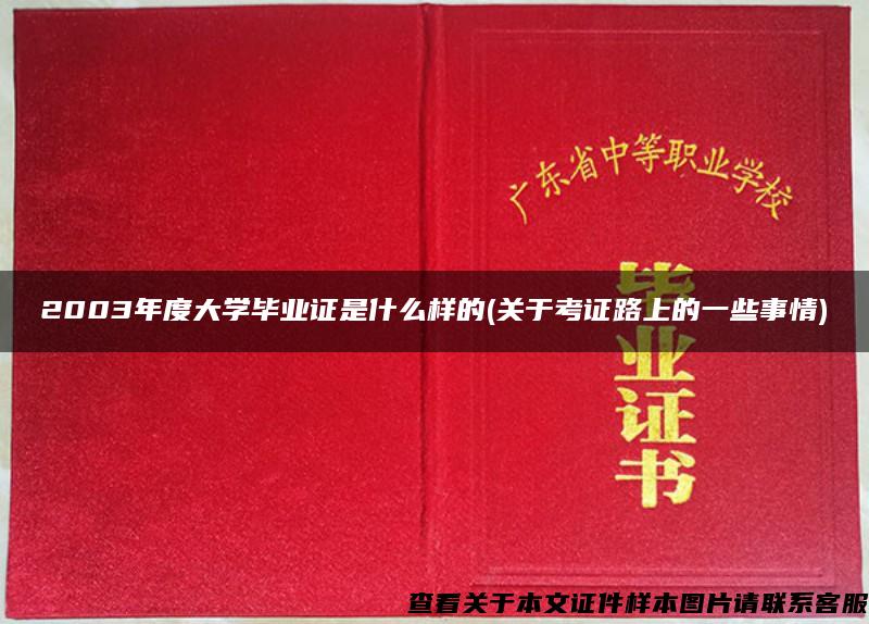 2003年度大学毕业证是什么样的(关于考证路上的一些事情)