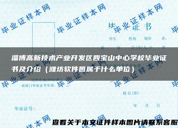 淄博高新技术产业开发区四宝山中心学校毕业证书及介绍（潍坊软件园属于什么单位）