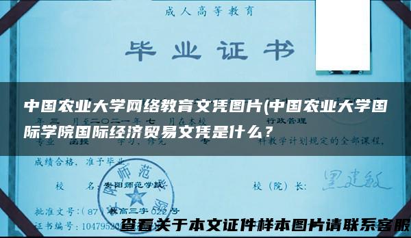 中国农业大学网络教育文凭图片(中国农业大学国际学院国际经济贸易文凭是什么？