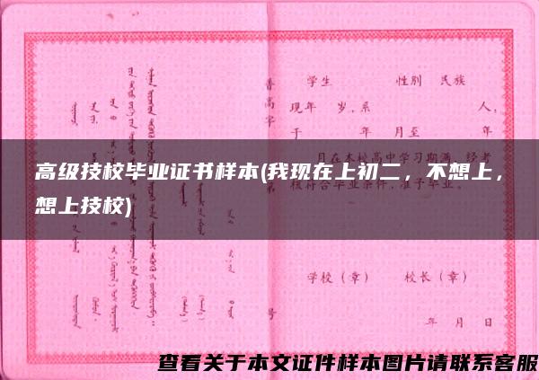 高级技校毕业证书样本(我现在上初二，不想上，想上技校)