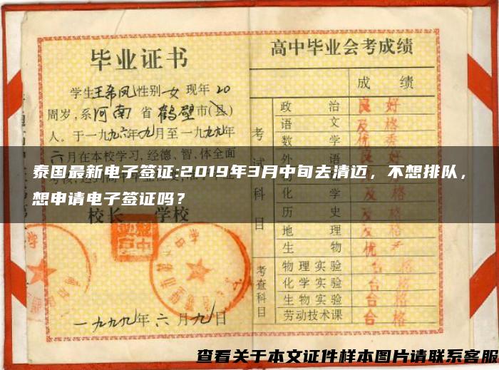 泰国最新电子签证:2019年3月中旬去清迈，不想排队，想申请电子签证吗？