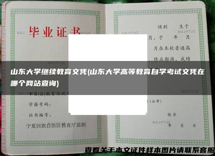 山东大学继续教育文凭(山东大学高等教育自学考试文凭在哪个网站查询)