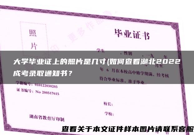 大学毕业证上的照片是几寸(如何查看湖北2022成考录取通知书？