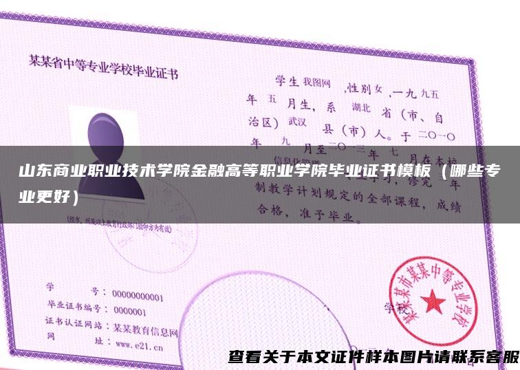 山东商业职业技术学院金融高等职业学院毕业证书模板（哪些专业更好）