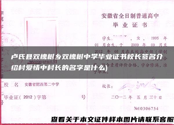 卢氏县双槐树乡双槐树中学毕业证书校长签名介绍村爱情中村长的名字是什么)