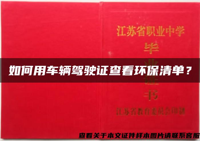 如何用车辆驾驶证查看环保清单？