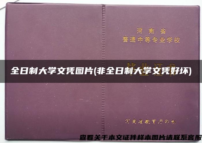 全日制大学文凭图片(非全日制大学文凭好坏)