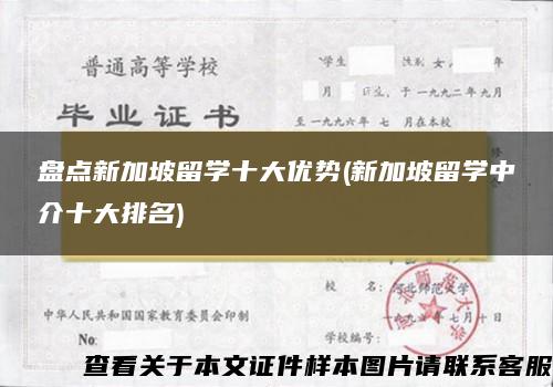 盘点新加坡留学十大优势(新加坡留学中介十大排名)