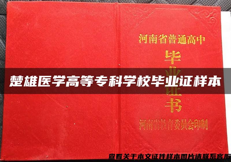 楚雄医学高等专科学校毕业证样本