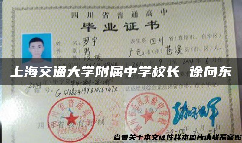 上海交通大学附属中学校长 徐向东