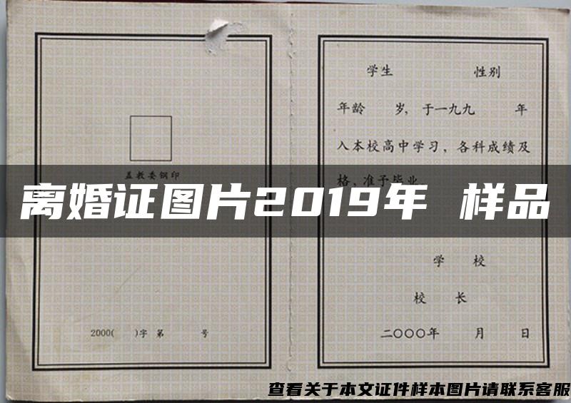 离婚证图片2019年 样品