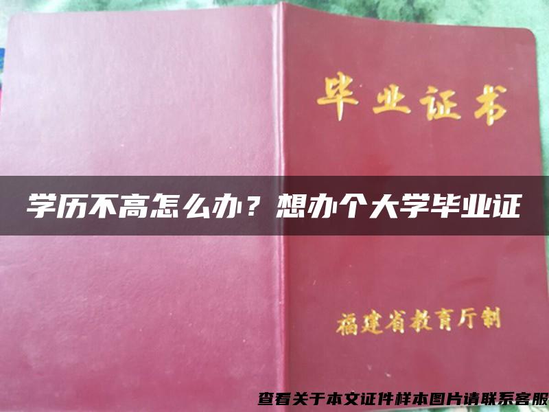 学历不高怎么办？想办个大学毕业证