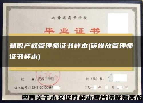 知识产权管理师证书样本(碳排放管理师证书样本)