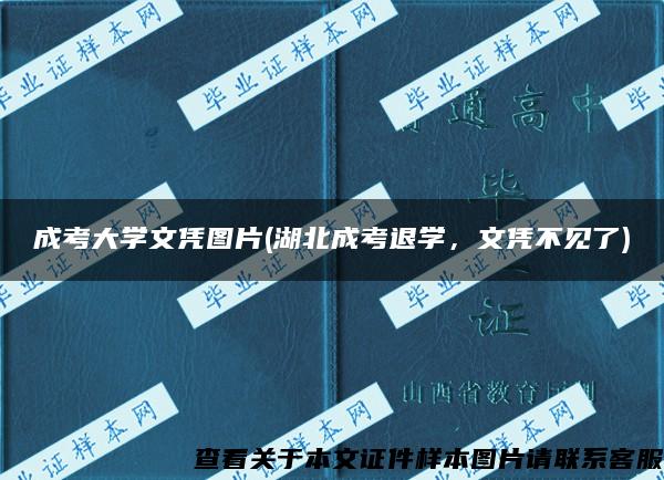 成考大学文凭图片(湖北成考退学，文凭不见了)