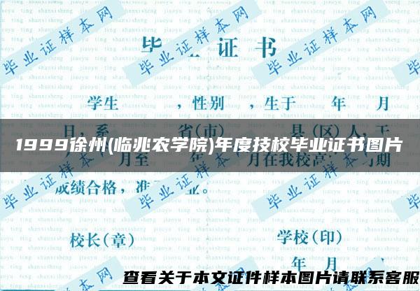 1999徐州(临兆农学院)年度技校毕业证书图片