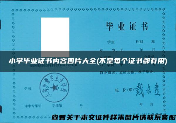 小学毕业证书内容图片大全(不是每个证书都有用)