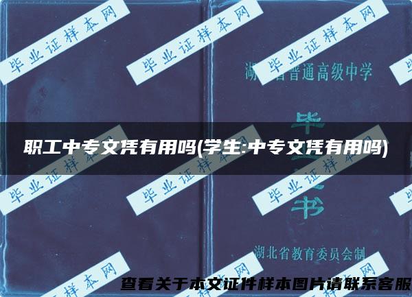 职工中专文凭有用吗(学生:中专文凭有用吗)