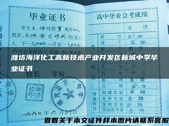 潍坊海洋化工高新技术产业开发区新城中学毕业证书