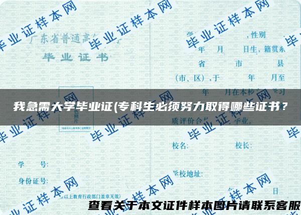 我急需大学毕业证(专科生必须努力取得哪些证书？