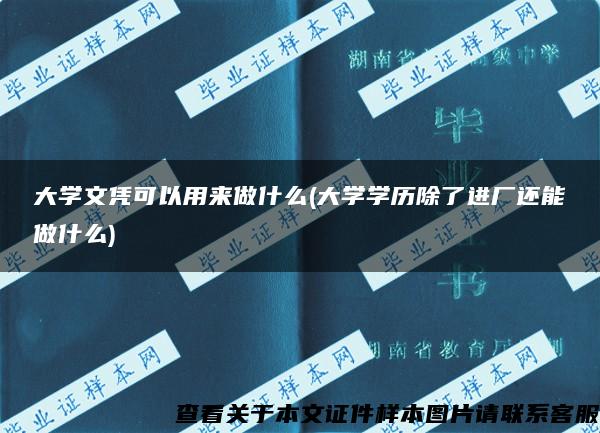 大学文凭可以用来做什么(大学学历除了进厂还能做什么)