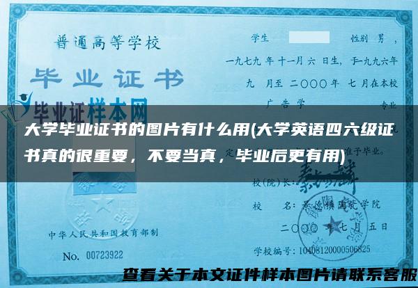 大学毕业证书的图片有什么用(大学英语四六级证书真的很重要，不要当真，毕业后更有用)